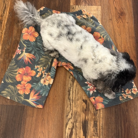 Aviator Nation Tropical Print Shorts - Picture 9 of 10